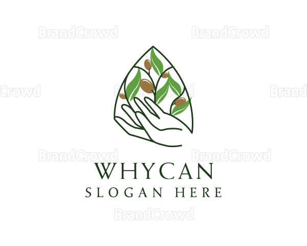 Olive Plant Farming Logo