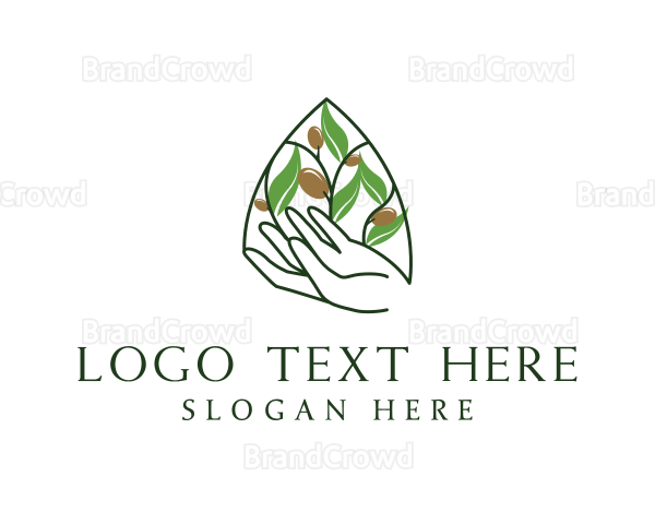 Olive Plant Farming Logo