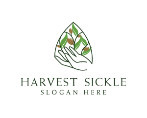 Olive Plant Farming   logo design