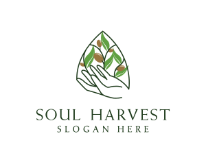 Olive Plant Farming   logo design