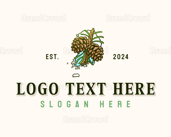 Korea Pine Cones Logo