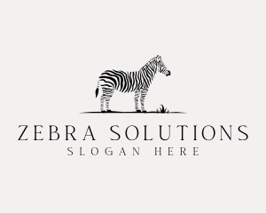 Zebra - Wildlife Zebra Zoo logo design