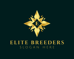 Golden Star Letter logo design