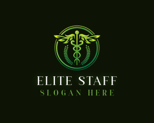 Wings Caduceus Staff logo design