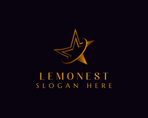 Production - Premium Luxury Star logo design