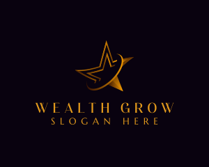 Premium Luxury Star logo design