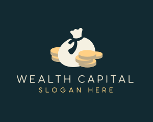 Money Financial Bag logo design