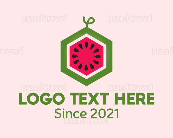 Hexagon Watermelon Fruit Logo