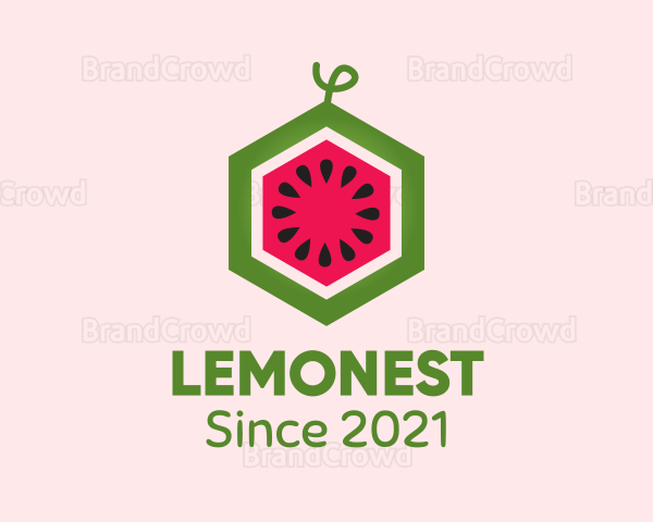 Hexagon Watermelon Fruit Logo