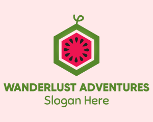 Hexagon Watermelon Fruit  Logo