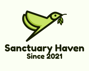 Nature Bird Sanctuary logo design