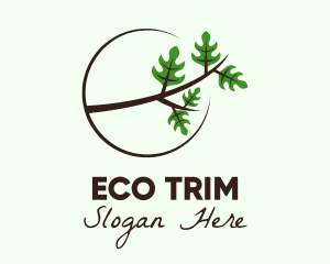 Eco Forest Branch logo design