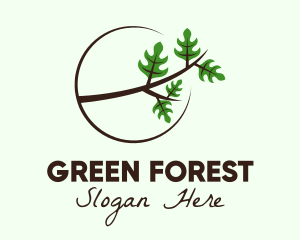 Eco Forest Branch logo design