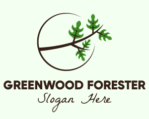 Eco Forest Branch logo design