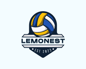 Volleyball Varsity Team Logo