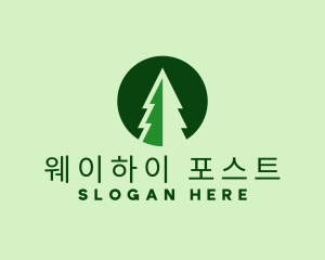 Pine Forest Nature  logo design