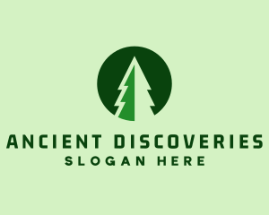 Pine Forest Nature  logo design