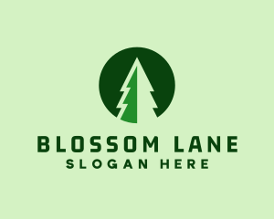 Pine Forest Nature  logo design