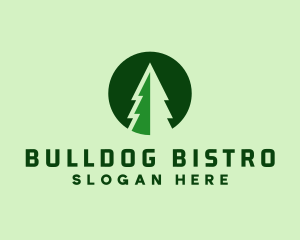 Pine Forest Nature  logo design