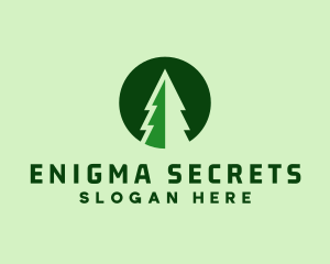 Pine Forest Nature  logo design