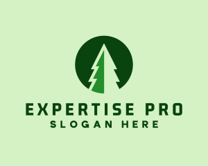 Pine Forest Nature  logo design