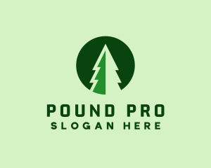 Pine Forest Nature  logo design