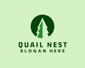 Pine Forest Nature  logo design