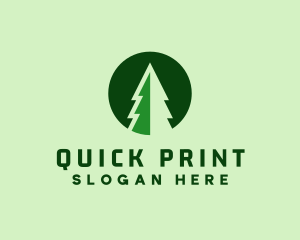 Pine Forest Nature  logo design