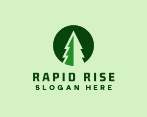 Pine Forest Nature  logo design