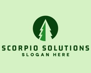 Pine Forest Nature  logo design