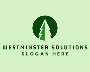 Pine Forest Nature  logo design