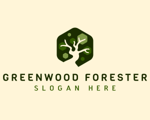 Nature Plant Tree logo design