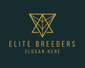 Highend Geometric Triangle  logo design