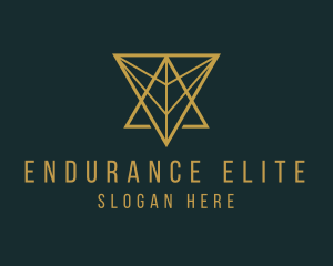 Highend Geometric Triangle  logo design