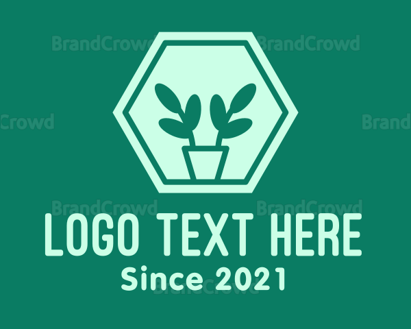 Green Plant Hexagon Logo