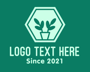 Pot - Green Plant Hexagon logo design