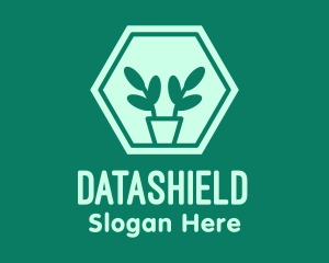 Green Plant Hexagon Logo