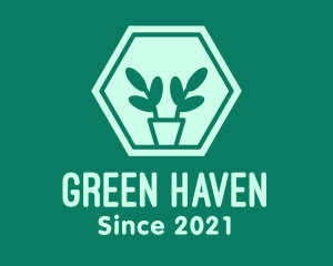 Green Plant Hexagon logo design