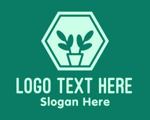 Green Plant Hexagon Logo