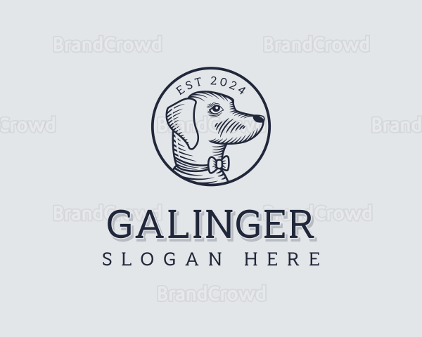 Pet Dog Veterinarian Logo