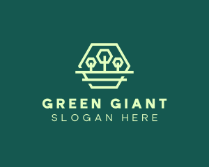 Green Forest Trees Hexagon logo design