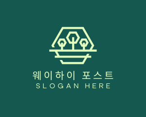 Green Forest Trees Hexagon logo design