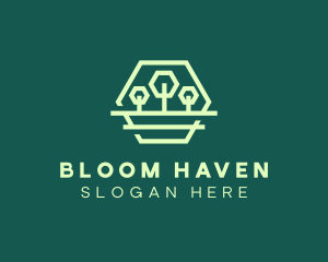 Green Forest Trees Hexagon logo design