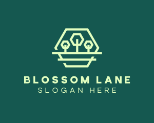 Green Forest Trees Hexagon logo design