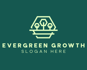 Green Forest Trees Hexagon logo design