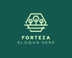 Green Forest Trees Hexagon logo design