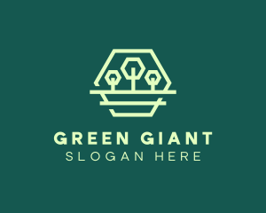 Green Forest Trees Hexagon logo design