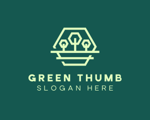 Green Forest Trees Hexagon logo design