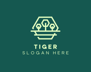 Green Forest Trees Hexagon logo design