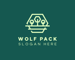 Green Forest Trees Hexagon logo design